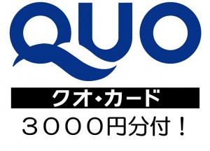 QUO3000円画像